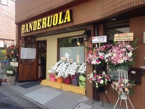 お祝い胡蝶蘭